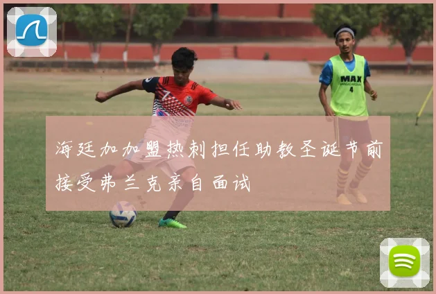 海廷加加盟热刺担任助教圣诞节前接受弗兰克亲自面试